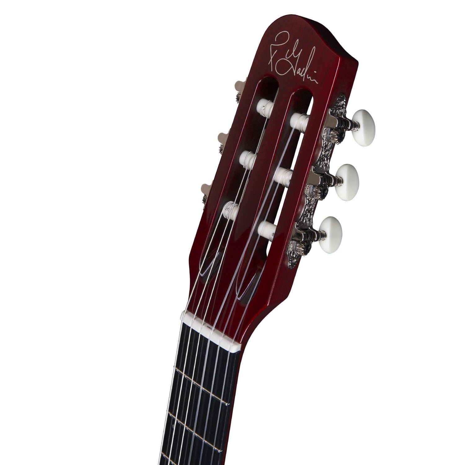 GODIN MULTIAC ENCORE NYLON SG CON CUSTODIA - immagine 6