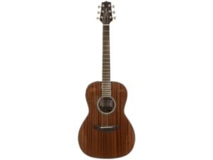 Chitarre Elettroacustiche