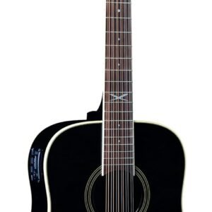 EKO NXT D100e XII See Through Black  12 CORDE