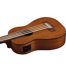 EKO Duo Ukubass Fretless - immagine 5