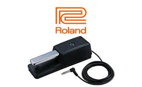 ROLAND DP-10