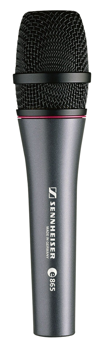 SENNHEISER e865