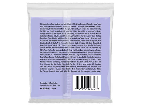 ERNIE BALL 2839 Nickel Wound - immagine 2