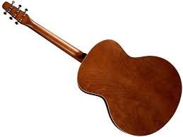 SEAGULL ENTURAGE AUTUMN BURST - immagine 8