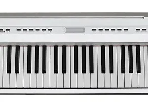 ECHORD SP10 White